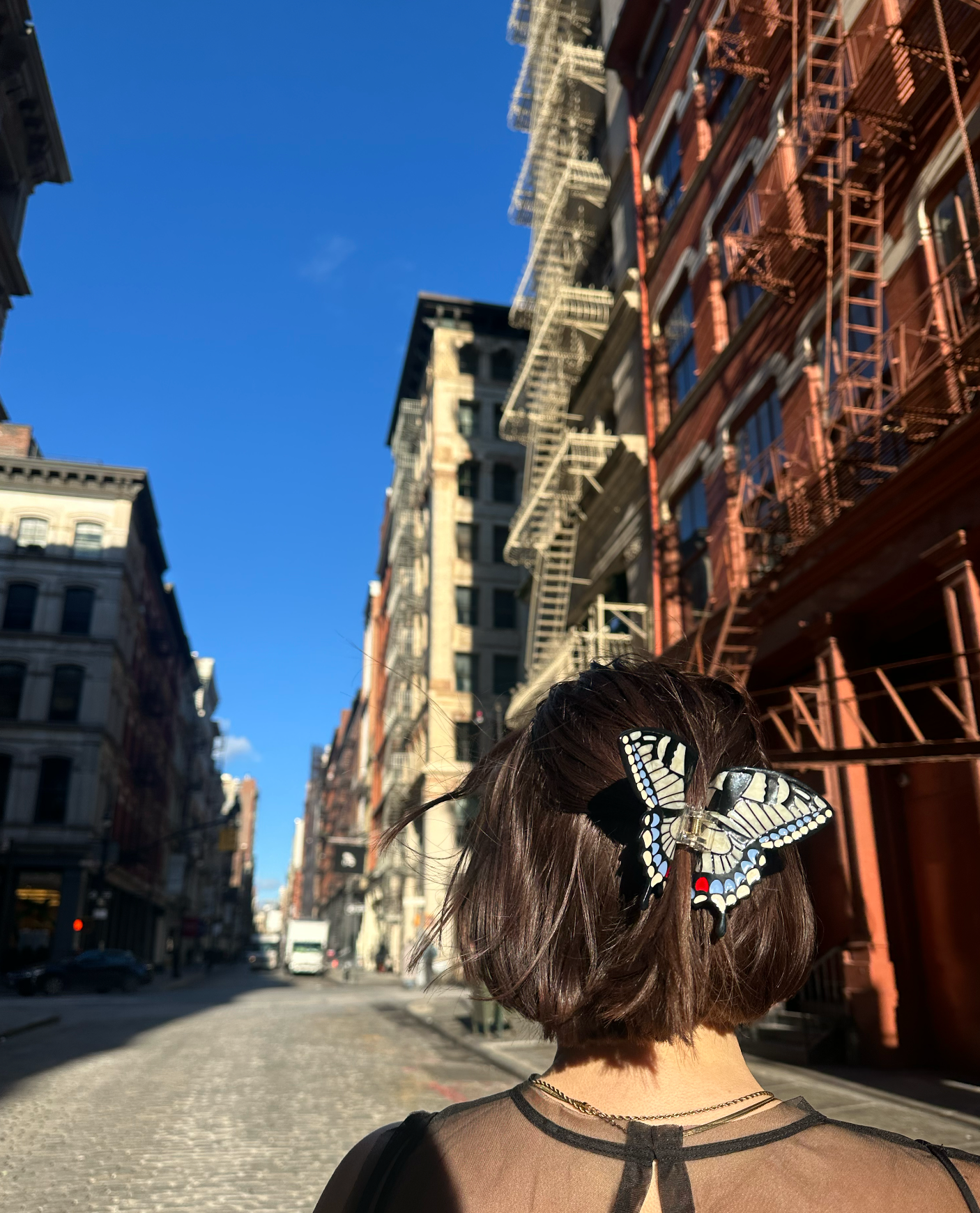 Solar Eclipse Hand-Painted Swallowtail Butterfly Claw Hair Clip