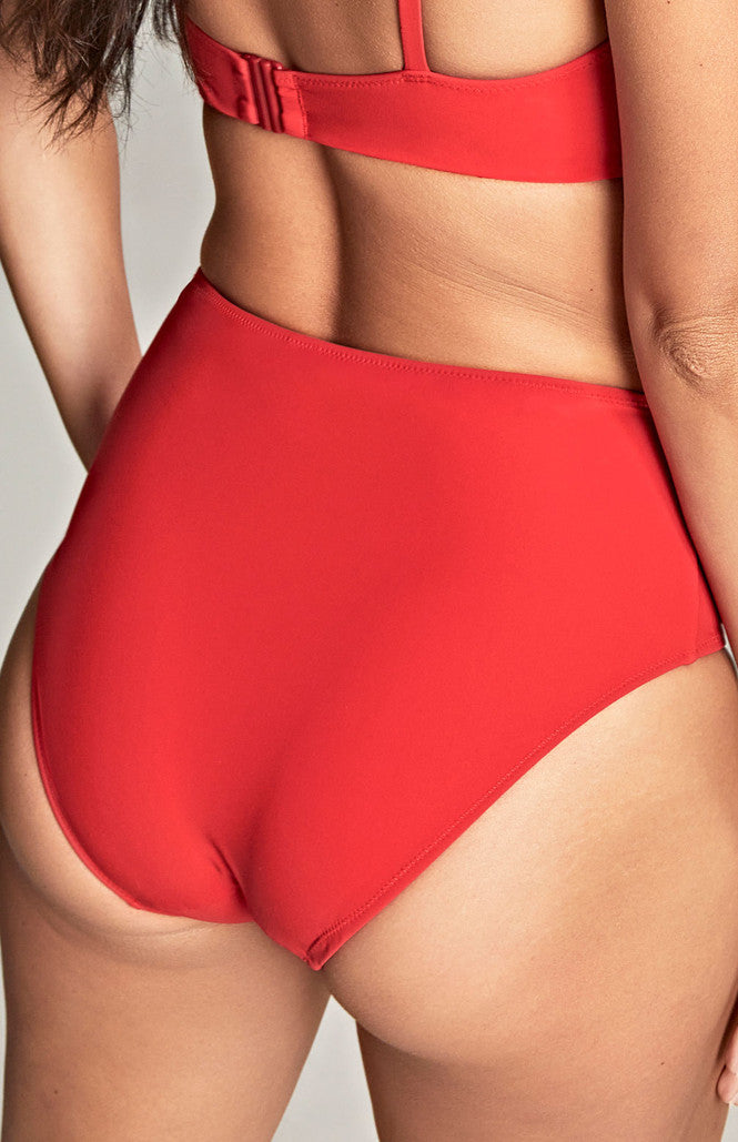 Panache High Waist Brief