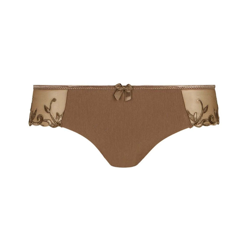 Brown color bikini panty