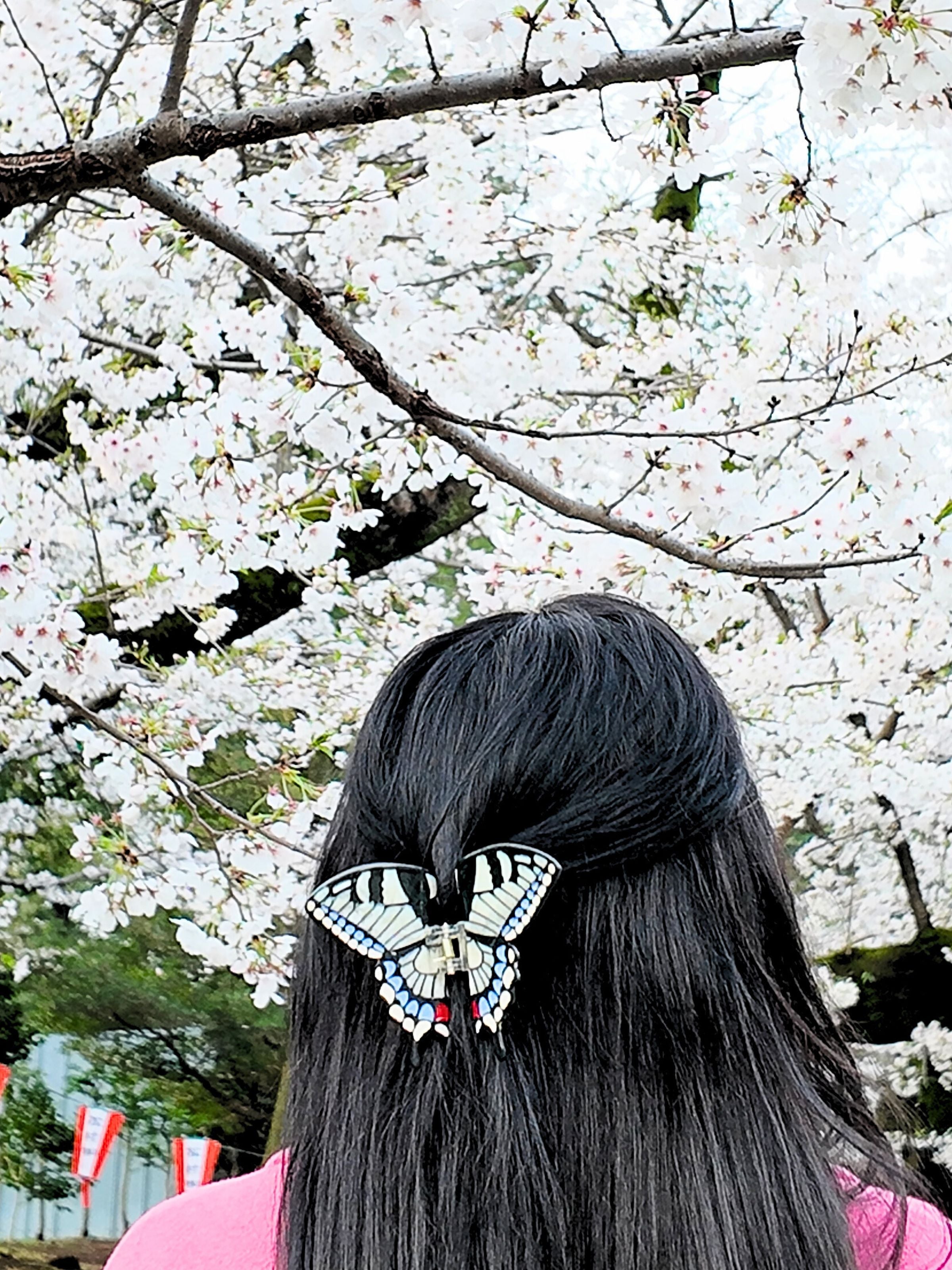 Solar Eclipse Hand-Painted Swallowtail Butterfly Claw Hair Clip