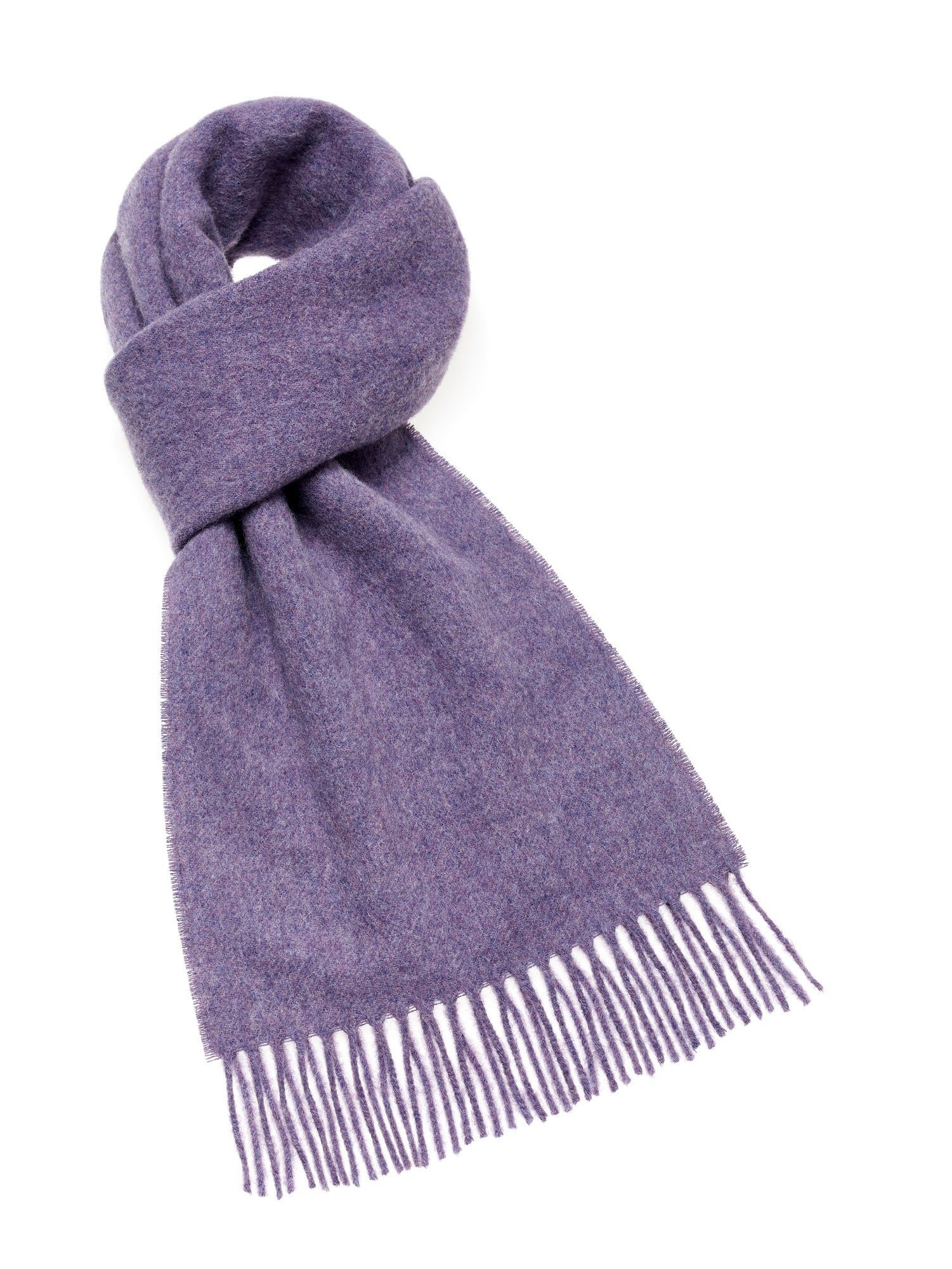 Bronte Plain Luxury Scarf