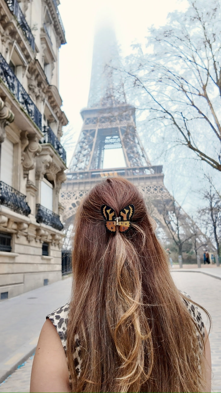 Solar Eclipse Hand-Painted Tiger Moth Claw Hair Clip
