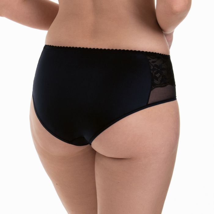 lace and transparent tulle brief