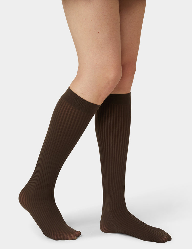 Hue Sheer Rib Knee High